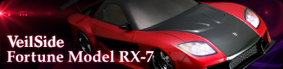 FCTCh tH[`f RX-7 D3 CS SPORT htgLbg